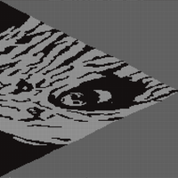 IMG_3822.jpeg