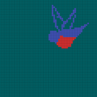birds