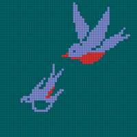 birds
