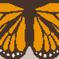 CARDIGAN BUTTERFLY.jpg