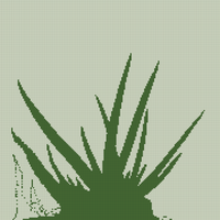 fd23997-0-wh.jpg