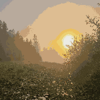 20260721_063635.jpg