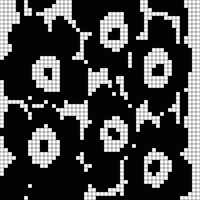IMG_2789.jpeg