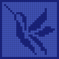 Kolibri