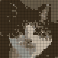 IMG_5603.jpeg