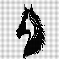 IMG_0062.png