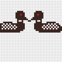 loons