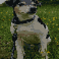 IMG-20210613-WA0002.jpg