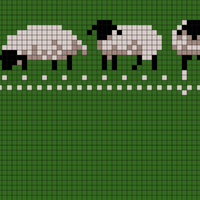 Sheep