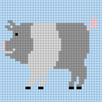 Copy of Pig