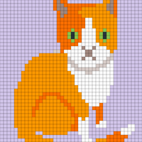 cat trial.jpg