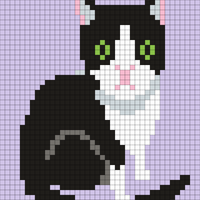 cat.jpg