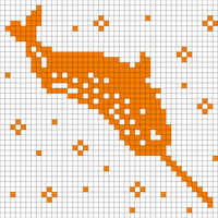 Copy of Narwhal