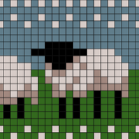 sheep