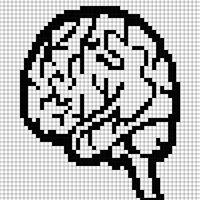 Brain 3.jpg
