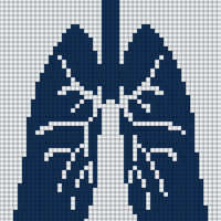 Lungs.png