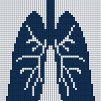 Lungs.png