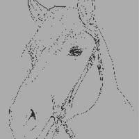 896EC422-D68E-4229-82B2-131862F77420.PNG
