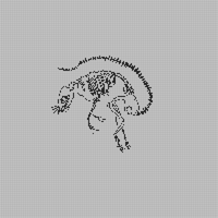 IMG_0717.jpeg