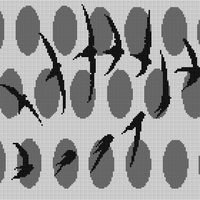Copy of birds.jpeg