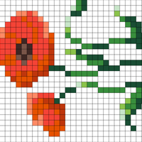 poppy