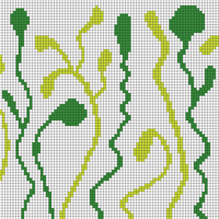 Copy of Seaweed Frankie Colorwork
