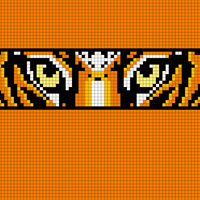 Eyes of the tiger
