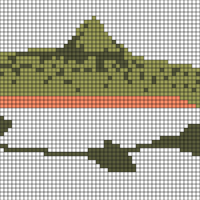 Salmon No Outline
