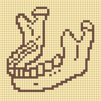 Mandible