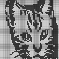 cat.png