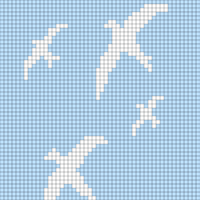 birds in the sky