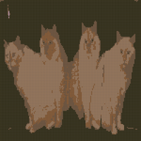 IMG_6002.png