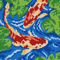 Copy of Copy of koi
