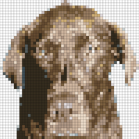 IMG_4962.png