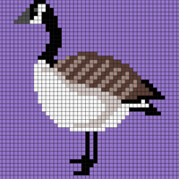 Copy of goose sweater