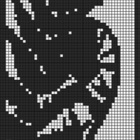 Fern