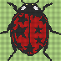 Copy of Ladybug