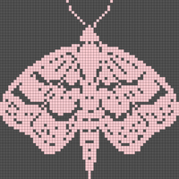 Black Sweater/ Pink Moth