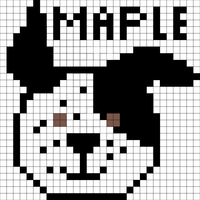 maple dog