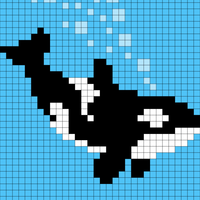 Copy of Orca 1
