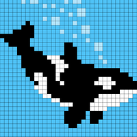 Orca 1