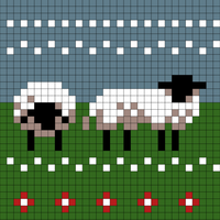 sheep