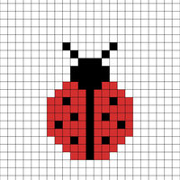 Ladybug
