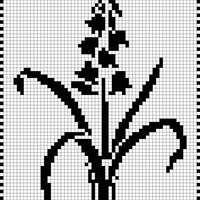 Filet crochet