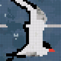 1000036842.jpg
