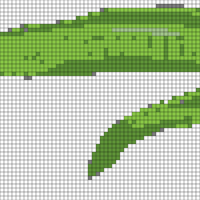 Green moray 