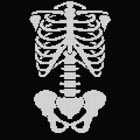 skeletom.jpg