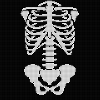Copy of skeletom.jpg