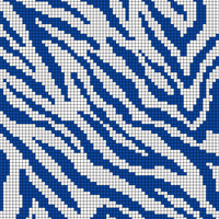 Zebra stripes.jpeg