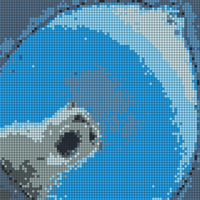 polarbear.jpg